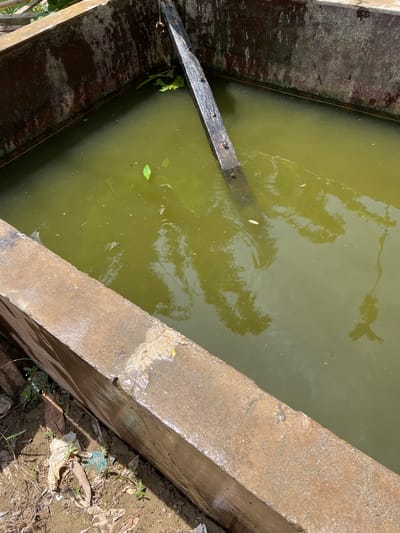 The image shows a close-up view of a dirty, green water-filled concrete structure. A weathered wooden plank is submerged in the water on the left side, secured with metal fasteners. The water reflects shadows of foliage, suggesting it is outdoors during the day. The concrete walls of the structure are rough and appear damp, with some debris visible on the ground next to it. There is a small green leaf floating on the surface of the water. The scene appears to be in an outdoor environment, possibly a neglected water reservoir or drainage ditch, given the presence of debris and the murky water. There is no visible text in the image.