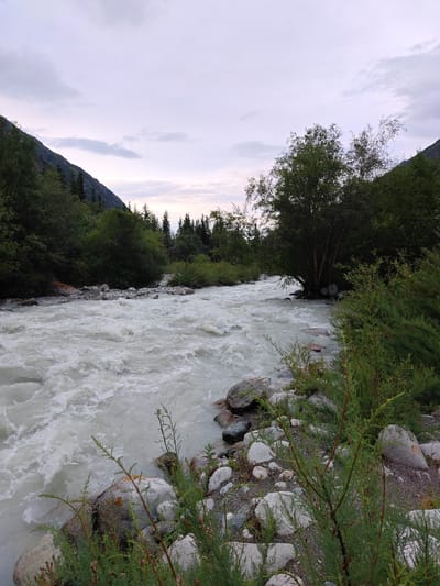 The image depicts a turbulent, milky-white river flowing through a mountainous, forested region. The river occupies the left and central portions of the frame, with white water and rapids evident. The riverbanks are rocky and strewn with various sizes of grey and tan stones. Dense green vegetation, including trees and shrubs, lines the banks and extends up the slopes of the surrounding mountains, which are covered in a mix of trees and appear to be a dark green. The sky above is overcast with a pale, cloudy pattern, suggesting either dawn or dusk. The scene is devoid of any human presence or man-made structures, conveying a sense of natural wilderness. The location is identified as being in an unspecified region of Kyrgyzstan.