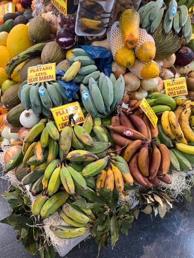 The image shows a fruit stand at what appears to be a market. The bananas are labeled with handwritten signs, likely in Spanish, denoting different types: "PLATANO MANZANO APPLE BANANA", "PLATANO ROJO RED BANANA", "PLÁTAMO LIM LEMONANA", and "PLATANO 28% AZUL BLUE BANANA". There are also other fruits and vegetables visible, including melons, papayas, and onions. One sign on the lower left is cut off, but the part that is visible, states "NAKAN SANGUINA" at a price of "390/600", which are some of the prices for the items. All of this indicates the location could be in a Spanish-speaking region. The image is taken in Las Palmas, Spain, considering the handwritten signs are in Spanish.