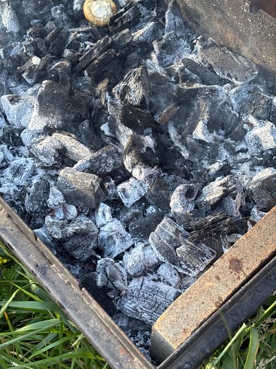 The image shows a close-up view of a charcoal grill filled with burnt charcoal and ash. A single piece of uncooked food, possibly a mushroom, rests on top of the coals in the upper portion of the image. The grill is positioned outdoors, with green grass visible below and to the sides. A rusty metal edge of the grill is prominent in the foreground. The scene appears to be in Novaya Usman, Russia, suggesting an outdoor cooking or barbecue setting. There are no people or other animals visible in the image. The lighting suggests it is daytime.
