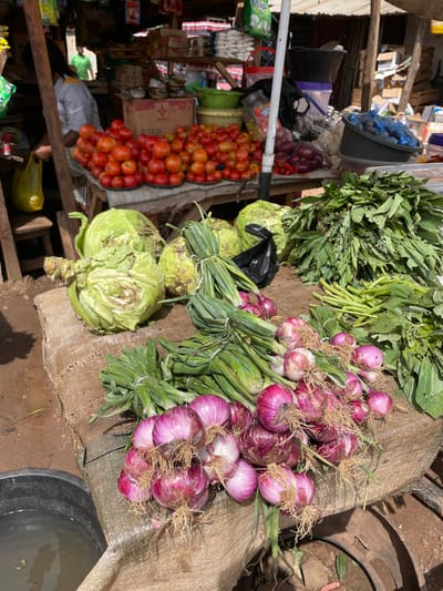 This image depicts a market scene in the city of Mbar, Nigeria. In the foreground, a variety of fresh produce is arranged on a rough, woven mat. Prominently displayed are bunches of red onions with their roots still attached, as well as green onions tied together with string. Behind the onions, several heads of cabbage are visible, some showing signs of wilting. To the right, a large pile of leafy green vegetables, likely spinach or a similar local green, is stacked high.
In the middle ground, a display of ripe red tomatoes is arranged on shallow trays. Further back, several large black buckets and plastic containers are visible. A person wearing a white shirt with yellow trim and dark hair is partially visible on the left, holding a bright yellow plastic bag. In the background, the market structures are evident, with shelves holding various goods and products. The overall environment appears to be an outdoor market with a dusty or dirt ground.