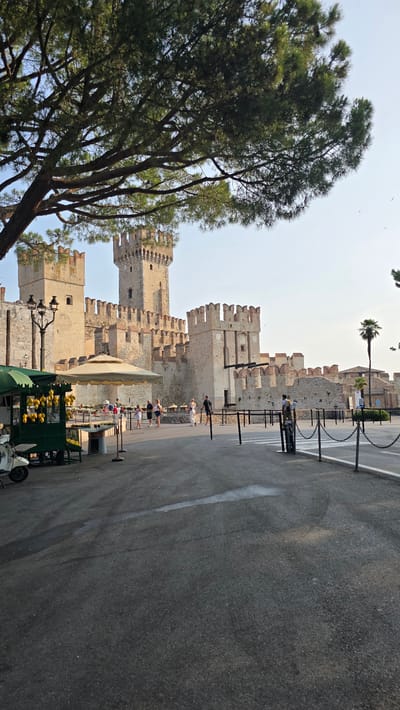 This is a medium shot of a sun-drenched scene of the Scaligero Castle in Sirmione, Italy. The castle, made of weathered stone, dominates the background with its tall towers and crenellated walls. A large pine tree with lush green foliage occupies the left side of the frame, its branches reaching towards the sky. 

In the mid-ground, a paved pathway runs alongside the castle walls, bordered by metal posts and chains. Several people are visible walking along the pathway, some pausing to admire the castle. One person is taking a photo with a phone. Near the pathway, a small green cart is laden with yellow fruits, likely lemons, suggesting a local market or street vendor. A large beige umbrella shades a portion of the cart.

The scene is bathed in bright sunlight, indicating it is likely daytime, perhaps late morning or afternoon. The sky is a pale blue with a few faint clouds. The overall atmosphere is relaxed and touristy, with people enjoying the historical surroundings. The image is oriented vertically, with the ground appearing on the right side of the frame and the sky on the left. There is no visible text in the image.