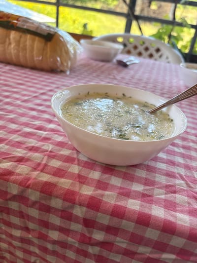 This image captures a daytime meal scene set on a checkered pink and white tablecloth in what appears to be an outdoor or semi-outdoor dining area in Staro Selo, Bulgaria.
The primary subject is a white ceramic bowl positioned in the lower right and center of the frame, containing a light-colored liquid, consistent with soup or stew. The liquid surface exhibits numerous small bubbles and is garnished with finely chopped green herbs, likely dill or parsley. A silver-colored metal spoon, featuring a textured handle with a repeating square pattern, is partially submerged in the liquid, resting within the bowl.
To the upper left, a commercially packaged loaf of sliced white bread, enclosed in clear plastic with an illegible green and orange label, rests on the tablecloth. In the mid-background, two smaller, partially visible white bowls are present, one near the bread and another further to the right. A white plastic outdoor chair, characterized by its lattice-patterned backrest, is partially visible in the upper mid-background.
The background beyond the dining area is blurred, revealing bright green foliage, indicating a sunny outdoor environment. Dark structural elements, possibly part of a window frame or pergola, are visible between the dining area and the exterior view. No individuals are visible, and no active interactions are depicted; the scene is set for a meal.
