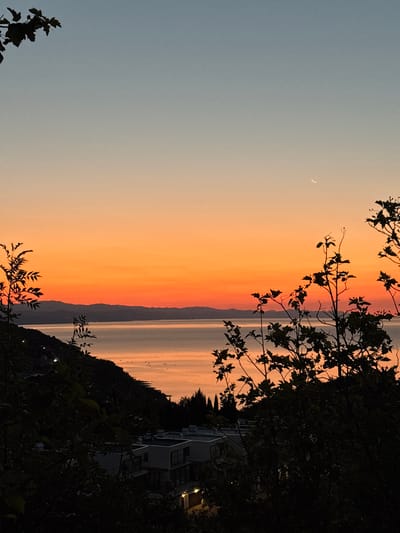 This is a photograph of a sunset over the Black Sea, as viewed from a hillside in the city of Chaika, Ukraine. The sky is a gradient of pale blue at the top, transitioning to vibrant orange and red near the horizon. A sliver of the crescent moon is visible in the upper right quadrant of the sky. In the foreground, silhouetted trees with dark leaves obscure portions of the view. Below the trees, modern buildings with white walls and flat roofs are nestled into the hillside. The sea itself is calm, reflecting the colors of the sunset, and several small boats are scattered across its surface. The overall impression is one of a serene evening landscape.