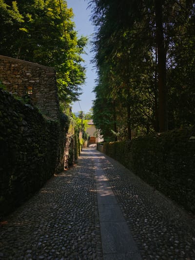 A narrow cobblestone alleyway lined with stone walls and lush green trees leads towards a building with a light-colored facade and wooden doors in Orta San Giulio, Italy. The walls are constructed from rough, irregular stones, with some sections covered in moss. Sunlight filters through the dense foliage, casting dappled shadows across the path. The alleyway is paved with small, rounded stones, and a darker, rectangular stone path runs down the center. On the left, a stone wall features a small, dark opening. The sky is clear and blue. The scene evokes a sense of quiet seclusion and historical charm.