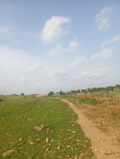 The image depicts a dusty path winding through a landscape of green grass and dry, brown vegetation. In the background, a line of trees separates the grassy area from a residential area with buildings visible. The sky is a pale blue with scattered white clouds. The scene appears to be an outdoor environment within the city of Tasha, Nigeria.