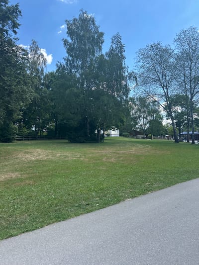 The image captures a sunny day in Reisbach, Germany, featuring a park area with a paved pathway in the foreground. Lush green grass covers the park, with some patches appearing drier. A variety of trees, including birch and deciduous varieties, are scattered throughout the scene, providing shade. In the background, there are several buildings, suggesting a residential or commercial area bordering the park. Fences delineate some sections of the park. The sky is a clear blue with a few scattered white clouds. There are no people clearly visible or identifiable in the image.