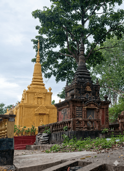 The image shows two stupas in front of a large tree. The stupa on the left is golden and has intricate carvings. The stupa on the right is dark brown and also features detailed ornamentation. A stone railing separates the stupas from the foreground, where concrete steps and scattered leaves are visible. Greenery surrounds the structures, with dense foliage from the tree and smaller plants growing around the base of the stupas. The sky is overcast. This appears to be a Buddhist temple or cemetery in Sihanoukville, Cambodia.
