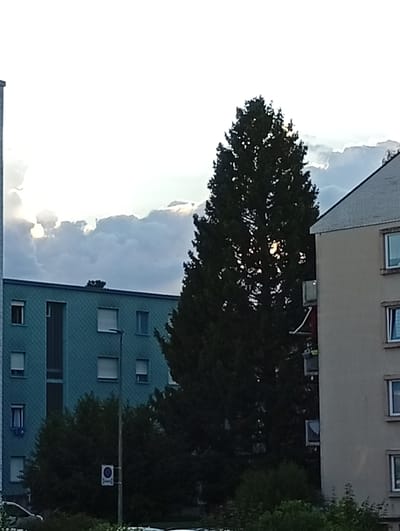 The image depicts an outdoor scene with a cloudy sky, suggesting it is either early morning or late afternoon. The sky is partially illuminated, indicating the sun is present but obscured by clouds. In the foreground, two buildings are visible. The building on the left is a tall, slender structure, mostly out of frame. To its right is a multi-story building with a teal-colored facade, featuring numerous windows and dark vertical elements. In front of this building, a street lamp with a sign attached is visible. A large, dark evergreen tree dominates the center of the image, its branches dense and reaching towards the sky. The tree partially obscures the view of the teal building and a section of a second building to the right. This second building is lighter in color, possibly beige or light grey, and also appears to be multi-story with visible windows. The overall impression is of an urban or suburban residential area. The lighting and clouds suggest a potentially overcast but bright day. There is no discernible activity taking place, and no people are visible. The sign on the street lamp is small and difficult to read but appears to have a blue circular symbol and some white text. The location context is Langenthal, Switzerland.