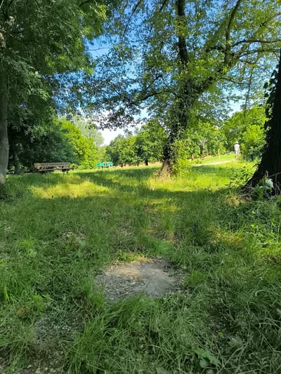 The image depicts a grassy field in Chézenas, France, with a mix of sunlight and shade. In the distance, a wooden bench sits beneath trees to the left, and a person wearing a hat walks along a path towards the right. The foreground is dominated by tall grass with a patch of bare ground in the center. Trees line the perimeter of the field, with glimpses of blue sky visible through the foliage.