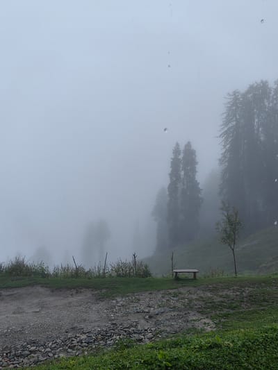 The image depicts a misty, overcast day in Prini, India. In the foreground, there is a gravelly path with scattered rocks and green foliage. A gentle slope covered in grass leads up to a small wooden bench. Beyond the bench, a thin tree stands to the right. In the background, dense fog obscures the view of tall, dark trees, creating a silhouette against the pale sky. The overall atmosphere is serene and slightly melancholic, suggesting a quiet natural landscape shrouded in mist.
