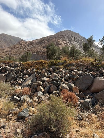 The image displays an arid, mountainous landscape under a partly cloudy sky, characteristic of the terrain in or near Pájara, Spain. In the background, a prominent, rugged mountain peak dominates the right side, exhibiting a textured surface of exposed rock in shades of reddish-brown and gray. To its left, another range of mountains is visible, appearing less distinct and somewhat hazy due to distance. The upper portion of the frame features a clear blue sky interspersed with scattered white cumulus clouds, which are more concentrated towards the left.
The midground reveals a terraced or elevated strip across the scene, densely covered with various sizes of gray and reddish-brown rocks. Along this strip, sparse vegetation includes several small green shrubs, possibly olive trees, and patches of dry, yellowish-brown grasses or vines. Multiple thin, dark vertical posts, indicative of fencing or agricultural supports, are sparsely distributed within this midground vegetation.
The foreground consists of a dry, stony ground. Numerous rocks and pebbles, ranging in color from dark gray to light brown and reddish hues, are scattered abundantly. Interspersed among these stones is sparse, low-lying vegetation, including clumps of dry, straw-colored grasses, small thorny green bushes with tiny yellow flowers, and patches of reddish-brown dried plant matter. The scene is illuminated by bright daylight, casting minimal discernible shadows. No human figures, animals, or significant structures beyond the vertical posts are present.