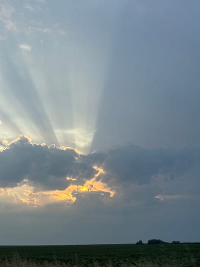 This image, taken in Chirpan, Bulgaria, depicts a late afternoon or early morning sky characterized by dramatic crepuscular rays. The sun, obscured by a dense band of dark cumuliform clouds spanning the mid-ground, projects intense golden-orange light through gaps and along the cloud edges, particularly on the left and central portions. Multiple bright sunbeams extend upwards and outwards from behind these clouds into the lighter, pale blue-grey sky of the upper left quadrant. The right side of the sky is dominated by a darker, more uniform grey-blue cloud cover, indicative of deeper atmospheric conditions. Below the horizon, a vast, flat expanse of green agricultural land stretches across the entire width of the frame. In the distant right, a small cluster of dark, silhouetted trees or bushes breaks the otherwise flat land contour. No people, specific objects of human creation (aside from potential distant agricultural patterns), or discernible actions are present.