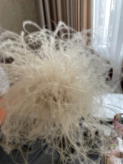 The image presents a close-up view of a cluster of down feathers. The feathers are primarily off-white or light tan, with fine, wispy filaments extending outwards from the central mass. Some filaments curl or loop, creating a textured and airy appearance.
In the background, partially visible, are elements suggesting an interior setting. A window with sheer white curtains and horizontal blinds can be seen. To the right, a portion of a decorative object, possibly a glass or vase with a floral design, is present. Hints of other objects and surfaces are also discernible.
Given the request to include the location, it is specified that the image was taken in Лесной Пейзаж Кп (шарапово), Russia. However, there is no visual information to confirm this location explicitly.