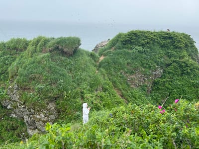The image depicts a person in a white hooded garment standing in a grassy, hilly landscape overlooking the sea. The person appears to be holding a phone or camera. The terrain is covered in lush green grass and vegetation, with some rocky outcrops visible. In the distance, the sea stretches out under a hazy sky, and several birds are flying overhead and resting on a rocky outcropping. Pink flowers are visible in the foreground, adding a touch of color to the scene. The location is identified as Tsapko, Russia.