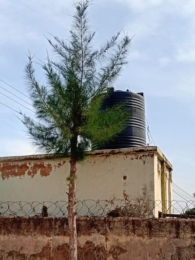 The image shows a view from below, looking up at a large black water tank and a distressed, pale yellow building. A tree with thin, green, needle-like leaves grows from the side of the building, its branches extending outwards. The building's facade is peeling and weathered, with patches of rust-colored decay and a few dark circular marks. Barbed wire is strung along a horizontal pipe or beam attached to the building, and also runs vertically along the right side of the frame, partially obscuring another weathered, dark brown wall. The sky above is a pale, cloudy blue. Electrical wires are visible in the lower part of the image. The scene appears to be outdoors in a somewhat neglected urban or semi-urban environment in Kporva, Nigeria. The lighting suggests it is daytime, possibly overcast. There is no text visible in the image.