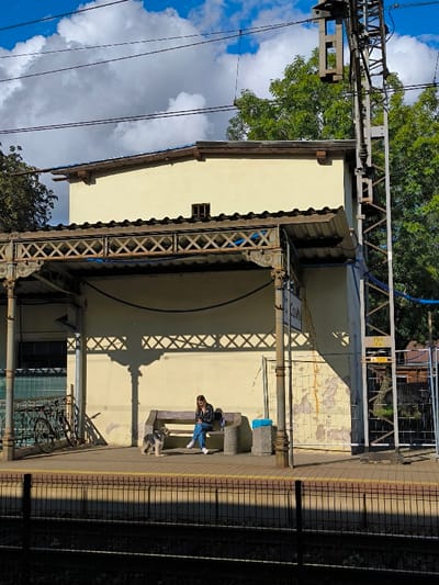 The image depicts a train station platform in Oława, Poland, on a bright day. A female individual, wearing a dark jacket, blue jeans, and white sneakers, is seated on a wooden bench, engaged with a mobile device held in her hands. Standing on the paved platform directly in front of her is a medium-sized dog with a mix of grey, tan, and white fur.
The platform is covered by an overhead shelter featuring an ornate dark metal lattice structure and a corrugated roof, which casts strong, patterned shadows onto the building wall behind. This single-story building is painted a light cream or pale yellow, with sections of its lower wall to the right exhibiting significant peeling paint and damaged tiling. A small, dark, rectangular window is visible higher on the building wall. To the left of the bench, two bicycles are parked at a metal rack.
A tall, industrial metal utility pole, bearing a small yellow sign with the numbers "154 14", stands to the right of the building. Overhead electrical wires stretch across the scene against a bright blue sky dotted with white cumulus clouds. Dark train tracks and a black metal fence occupy the immediate foreground. Green trees are visible in the background, behind the station structure. A sign on a pillar near the center of the image clearly displays "OŁAWA". Two concrete trash receptacles, one with a blue liner, are positioned to the right of the bench.