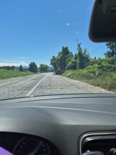 The image is a first-person perspective from inside a car driving on a rural road. The road is paved and appears to be in moderate condition with visible aggregate. The road curves slightly to the right in the distance. On the right side of the road, there is dense green vegetation, including trees and bushes, with a house visible through the foliage, characterized by a red-tiled roof and a chimney. A leaning, dead tree with electrical wires attached stands prominently amidst the greenery. On the left side of the road, there are fields of green grass and scattered trees, with rolling hills and mountains in the background under a clear blue sky with a few wispy clouds. The interior of the car is partially visible in the foreground, showing the dashboard and a portion of the speedometer. The scene suggests a sunny day in a rural area. This location is identified as Dzhurovo, Bulgaria.