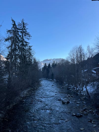 This image presents a winter landscape along a river in Gstaad, Switzerland. The river, likely the Saane, occupies the central and lower portions of the frame, flowing from the distant background towards the viewer. Its dark, turbulent water reveals numerous rocks within its bed, interspersed with patches of snow and ice along the immediate banks. Both sides of the river are densely vegetated with a mix of bare deciduous trees and tall, dark evergreen conifers. Patches of snow are visible on the ground beneath the trees. On the right bank, partially obscured by the trees, a traditional chalet-style building with a dark roof and brown siding is discernible. The background features snow-covered mountain slopes, marked by coniferous forests, extending upwards beneath a clear, bright blue sky. No human figures, animals, or explicit actions are present in the scene.