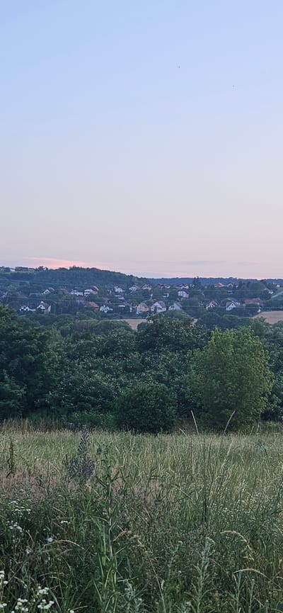 The image depicts a serene landscape at dusk, likely taken in the vicinity of Hévíz, Hungary. The foreground is dominated by a meadow of tall, green grass and wildflowers, with some taller, thinner stalks of vegetation interspersed. Behind the meadow, a dense, dark green forest forms a lush band across the middle ground. Beyond the forest, a settlement of houses with red and orange roofs is visible scattered across rolling hills. The houses are predominantly two-story structures with well-maintained yards. The background consists of a clear, pale blue sky, transitioning to a soft pinkish hue near the horizon, indicating the end of daylight. Two small, dark specks are visible in the sky, possibly distant birds or insects. The overall atmosphere is peaceful and rural.