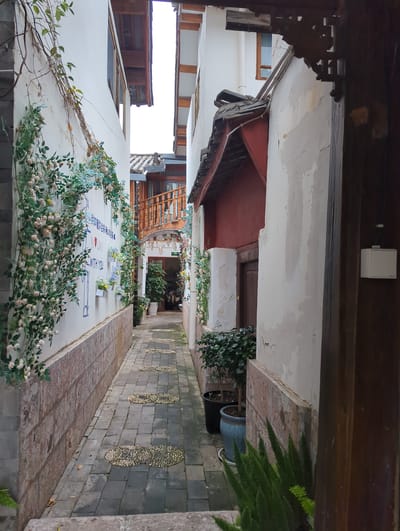 This image depicts a narrow alleyway in a traditional Chinese setting, likely in Gucheng District, China, given the architectural style. The alley is lined with buildings featuring white walls and dark wooden eaves. The ground is paved with stone tiles, and decorative elements like pebble mosaics are visible on the walls. Lush greenery, including climbing plants with delicate white flowers, adorns the walls, adding a touch of natural beauty to the scene.
In the foreground, a white wall is covered with these floral arrangements, with a vine gracefully trailing across it. There appears to be some text and decorative elements on the wall, possibly part of a mural or signage, featuring blue lettering and a heart symbol. In the background, more buildings and architectural details, including wooden staircases and doorways, can be seen, suggesting a complex of shops or residences. The scene is devoid of people, creating a sense of peacefulness and solitude.
The time of day appears to be overcast, as there are no strong shadows, and the light is diffused. The overall atmosphere is serene and picturesque, highlighting the charm of traditional Chinese architecture and its integration with nature. The decorative floral elements suggest an occasion or a deliberate aesthetic choice to enhance the visual appeal of the alleyway.