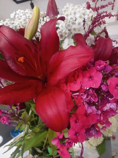 A close-up, high-angle shot captures a vibrant bouquet of flowers. The foreground is dominated by large, deep red lily petals, their velvety texture emphasized by the lighting. Behind the lilies, a cluster of smaller, bright pink phlox blooms adds a contrasting pop of color. In the background, delicate white baby's breath and darker, burgundy-red filler flowers create a textured, airy effect. Green leaves and stems are interspersed throughout the arrangement, providing a natural base. The overall impression is one of lushness and natural beauty, with a focus on the rich, saturated colors and varied textures of the floral elements. The environment appears to be indoors, with a plain, light-colored background that allows the flowers to be the sole focal point. There are no people or specific identifiable landmarks present in the image, and therefore its location within Тулаўскі сельскі Савет, Belarus cannot be determined.