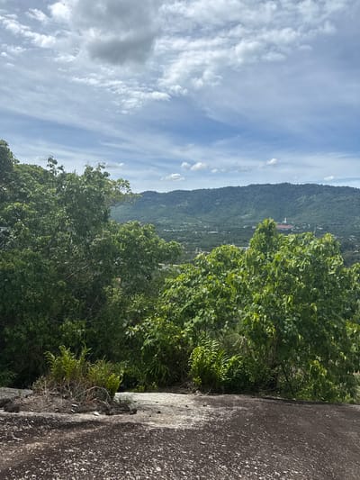 The image captures a panoramic view from a rocky outcrop overlooking a lush, green landscape in Baan Harn, Thailand. The foreground is dominated by a large, dark, textured rock surface, with a small clump of dry grass and ferns growing from a patch of soil on its edge.
Behind the rocky foreground, dense green foliage from trees and shrubs forms a natural barrier, partially obscuring the view. The trees are vibrant green, with many leaves visible, suggesting a tropical environment.
Beyond the immediate greenery, the landscape opens up to reveal rolling hills covered in dense forest. In the mid-ground, a cluster of buildings, including what appears to be a white and red structure with a prominent roof, are nestled within the valley. The town or village is spread out amidst the greenery, with hints of roads and smaller structures visible.
The sky above is a mixture of blue and white, with scattered clouds. Some clouds are large and puffy, while others are wispy and streaky, indicating a dynamic atmosphere. The overall impression is one of natural beauty and a serene, rural setting. The location is identified as Baan Harn, Thailand.