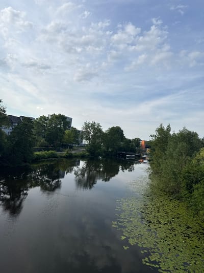The image depicts a body of water, likely a canal or river, in Wetzlar, Germany. The water reflects the surrounding environment, including trees, buildings, and the sky. The left bank of the waterway is lined with lush green trees and several modern apartment buildings. The right bank is also heavily vegetated with dense trees and bushes. A portion of the water in the foreground is covered with lily pads, forming a green carpet. In the distance, a small bridge spans the waterway, and a boat is docked near it. The sky is partly cloudy, with white clouds scattered across a pale blue expanse. The overall impression is a serene urban landscape where nature and modern architecture coexist.