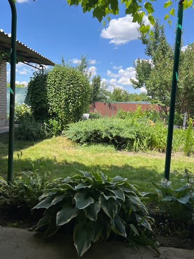 The image depicts a sunlit backyard scene, likely in Bokovskaya, Russia, on a clear day with scattered white clouds against a vibrant blue sky. In the foreground, a concrete path borders a lush garden bed featuring large hosta plants with variegated green and white leaves. To the left, a brick wall and a corrugated metal roof suggest a structure like a shed or a covered patio, supported by a green metal pole.
The midground showcases a well-maintained lawn interspersed with various shrubs and plants. A prominent, large, rounded bush with dense green foliage dominates the left-center of the frame, casting shadows on the grass. To its right, a lower, sprawling evergreen shrub with finely textured needles occupies a significant portion of the garden. Beyond this, a vibrant array of tall green plants and flowering lilies, some with orange and purple blooms, are visible. A rustic wooden fence, reddish-brown in color, forms the backdrop across the width of the garden.
The background is filled with more trees and greenery, indicating a suburban or rural setting. Two vertical green metal poles are present, one in the left foreground and another in the right midground, contributing to the overall structure of the outdoor space, possibly supporting a canopy or trellis that is partially visible with green leaves hanging from above. The lighting suggests it is daytime, likely mid-morning or early afternoon, given the bright sunlight and distinct shadows. No people or animals are present in the scene.