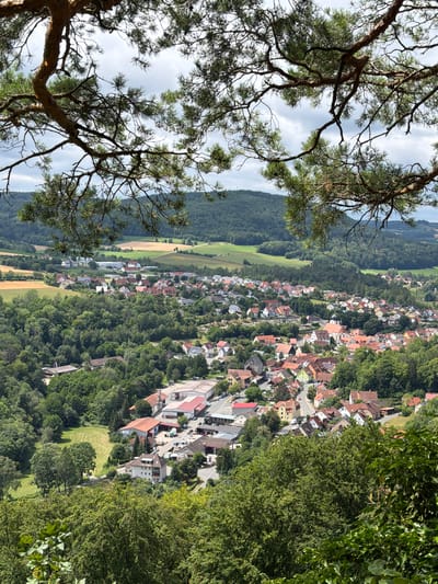 This image captures a panoramic view of the town of Heiligenstadt in Thuringia, Germany, as seen from an elevated vantage point, likely a hillside or a nearby viewpoint. The foreground is dominated by the branches and needles of a large pine tree, framing the scene below.

The town itself is nestled within a lush, green valley, surrounded by rolling hills covered in dense forests and interspersed with agricultural fields. The architecture of Heiligenstadt is characterized by numerous red-tiled roofs, typical of traditional German villages. Buildings are clustered together, forming streets and lanes that wind through the urban landscape. A prominent church with a dark dome stands out in the center of the town, suggesting it is a focal point.

Further into the distance, the landscape transitions to more hills and forests, with the sky above being partly cloudy. The overall impression is one of a peaceful, rural town set amidst a picturesque natural environment. There are no visible people or overt actions taking place in the image. The scene is tranquil and appears to be captured on a bright, possibly slightly overcast, day.