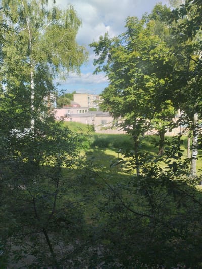 The image captures a view through dense foliage of trees in the foreground, looking out towards a grassy slope and buildings in the background. On the slope, there is a lighter colored building with several windows, and further back, a taller, pale yellow building is visible. The sky is partly cloudy with blue sky and white clouds. The scene appears to be an urban or suburban environment, possibly a park or residential area with greenery and apartment buildings. The lighting suggests it is daytime, with sunlight filtering through the leaves. The image does not contain any people or specific landmarks that would allow for precise identification of the location within Rechytsa, Belarus.