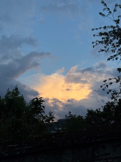 The image displays a sky scene dominated by clouds and framed by dark foliage. The sky features various cloud formations, ranging from soft grey to denser white, with a prominent central mass glowing with a warm golden-orange hue, indicating direct sunlight. Patches of clear, light blue sky are visible between the clouds, particularly on the left side.

Silhouetted against the sky are dark green tree branches and leaves, framing the top and the lower right portion of the image. On the far right, a dark, textured surface, possibly a wall or a large tree trunk, runs vertically, partially obscured by the foreground foliage. Through the leaves on the lower right, a small section of a distant building with a roof is faintly discernible.

The lighting conditions suggest either sunrise or sunset, with the golden glow on the clouds indicating the low angle of the sun, contrasting with the shadowed foliage and structures. The overall mood is serene and natural. There is no human activity taking place, nor is any visible text present. While the location is contextualized as Orsay, France, no specific landmarks within the image confirm this.