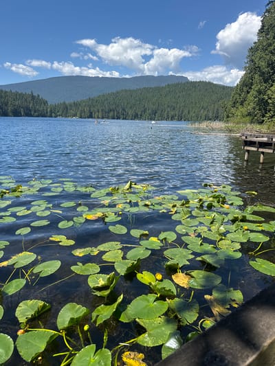 The image depicts a serene view of a lake with numerous lily pads floating on its surface. In the background, a dense forest of evergreen trees covers rolling hills, leading up to larger, hazy mountains under a bright blue sky dotted with fluffy white clouds. The sun is shining, creating ripples and reflections on the water's surface.
To the right, a wooden pier juts out into the water. Further out on the lake, several people are visible enjoying recreational activities, some appearing to be on paddleboards. The overall scene suggests a peaceful, natural environment, likely a park or recreational area within or near Port Moody, Canada, given the characteristic West Coast landscape.