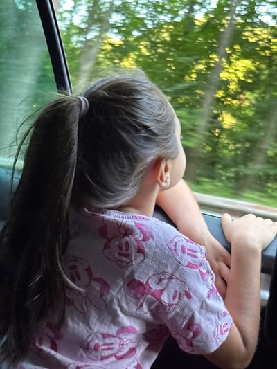A girl with long, dark hair tied in a ponytail looks out the window of a vehicle. She is wearing a light-colored t-shirt with a repeating pattern of cartoon mouse faces in pink. Her left arm is visible, resting on the car door. The background outside the window is a blur of green foliage and sunlight, suggesting a natural environment, possibly a park or forest. The image does not contain any specific geographical markers that would indicate the location in Oreshak, Bulgaria.