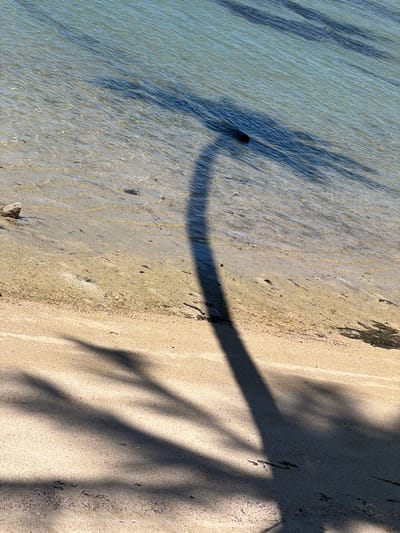 This is an overhead, close-up, high-angle photograph of a beach scene in Baan Thong Krut, Thailand. The image is oriented vertically, with the water on the left and the sand on the right. The water is shallow and clear, with gentle ripples and a sandy bottom visible beneath the surface. The sand is light tan and appears to be fine-grained, with some small pebbles and debris scattered across it.
A prominent feature of the image is the shadow of a palm tree cast across both the water and the sand. The shadow is dark and elongated, with fronds clearly defined, suggesting a sunny day. The shadow stretches diagonally from the top right of the frame to the bottom left. There are also other, fainter shadows in the water, possibly from submerged objects or seaweed.
The time of day appears to be late afternoon or early morning, as indicated by the long, angled shadows. The weather seems to be clear and sunny. The location is clearly a tropical beach, with the presence of palm trees being a strong indicator. There are no people or animals visible in the image. The overall mood is tranquil and serene, capturing the quiet beauty of a tropical shoreline. No text is visible in the image.