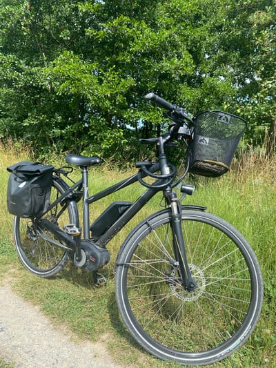 An electric bicycle, a black Victoria brand, is parked on the side of a gravel path. The bicycle is equipped with a front basket filled with a yellow object, a black pannier bag on the rear rack, and a black battery pack mounted on the frame. The bicycle is leaning on its kickstand, with its front wheel turned slightly to the right. In the background, there is lush green foliage from trees and tall grass. The scene appears to be a sunny day, with dappled sunlight visible on the grass. The location is identified as Sachsenheim, Germany.