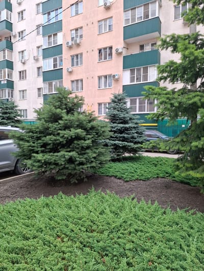 The image shows a multi-story residential building in Yablonovskiy, Russia, with a facade of light-colored material and green accents on balconies. In front of the building, there is a landscape area with several evergreen trees, including two prominent fir trees, and a low-lying green shrubbery ground cover. A silver car is parked in front of the building, partially obscured by the trees. The sky is overcast.