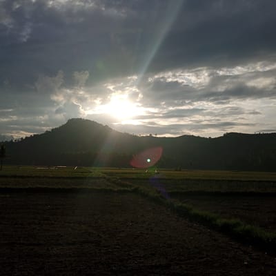 The image captures an outdoor landscape scene in Uleejalan, Indonesia, at either sunrise or sunset. The upper two-thirds of the frame display a sky dominated by dark grey, dense clouds, particularly in the upper left and central portions. Towards the right and lower part of the sky, clouds appear brighter white and light grey. A brilliant white sun, partially obscured by clouds and the mountain range, is located in the upper right quadrant. Multiple distinct sunbeams emanate downwards and to the left from the sun. A prominent lens flare, characterized by an orange-red circular halo surrounding a central turquoise dot, is visible in the lower central sky area.

A range of mountains or hills, silhouetted in dark green and black, spans the middle ground, extending across the entire horizontal width of the image. Trees are discernible along the ridges and slopes of these mountains. Below the mountains, an expansive area of agricultural fields occupies the lower third of the frame. These fields exhibit varied conditions: some sections are verdant green with apparent plant growth, while others consist of dark, tilled earth. A faint, lighter-colored path or division line traverses the mid-ground fields horizontally. On the far left, a single palm tree stands silhouetted against the mountain. The immediate foreground comprises dark, disturbed earth, consistent with a fallow or recently tilled field. A narrow strip of vibrant green grass runs diagonally from the lower right corner towards the center foreground, indicating a path or boundary. No discernible human figures or specific actions are present.