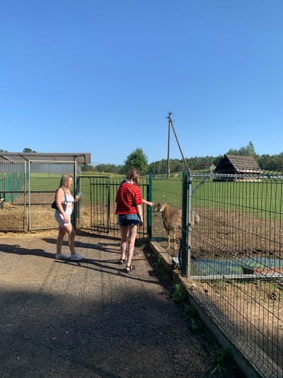 Two young women are standing outdoors on a sunny day, near a fenced enclosure. The woman in the foreground is wearing a white tank top and white shorts, with white sneakers. She is holding a bottle and looking to the side. The second woman, behind her and to the left, is wearing a red and white striped shirt and denim shorts, with black sandals. She is reaching her hand towards the fence.
Inside the enclosure, a brown animal, possibly a goat or a deer, is visible. The enclosure appears to be a pen for farm animals. Behind the pen, there is a grassy field with some trees in the background and a wooden structure with a roof. The ground around the enclosure is gravel and dirt. The sky is clear and blue, suggesting it is daytime with good weather. The shadows cast by the people and the fence indicate the sun is high in the sky, likely late morning or early afternoon. The scene appears to be at a farm or an animal sanctuary. There is a blue and red sign visible on a pole near the fence.