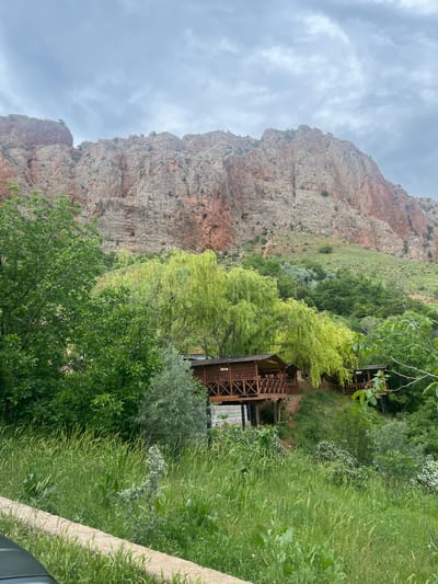 The image displays a mountainous landscape in Arpi, Armenia, under an overcast sky. In the background, a large, rugged mountain range features exposed rock faces composed of grey, tan, and reddish-brown strata, exhibiting numerous vertical and horizontal fissures. Minimal green vegetation adheres to the mountain slopes. The sky above is entirely covered by diffuse, light grey clouds.
The mid-ground is densely vegetated with various deciduous trees and shrubs. Several trees with bright, lime-green, weeping foliage are prominent, contrasting with darker green tree canopies. Integrated into the sloping terrain among these trees are multiple elevated wooden structures with dark stained wood, lattice railings, and gabled roofs. At least three such structures are discernible, suggestive of outdoor dining or leisure gazebos.
The foreground consists of a thick growth of tall, green grasses and other herbaceous plants, some displaying lighter-colored seed heads. A concrete curb or low wall spans horizontally across the lower left of the frame, partially obscured by the foreground vegetation. A dark, reflective surface, consistent with a vehicle's dashboard or hood, is visible in the extreme bottom-left corner. No human figures are present in the scene.