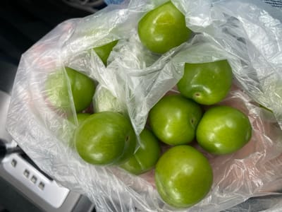 The image shows a clear plastic bag filled with approximately ten green plums. The plums are smooth and round with a light green color. They appear fresh and undamaged. The bag is partially crumpled. The background shows a blurry interior, possibly a car or a room. In the lower left corner of the image, there is a blurry white object.
There is no identifiable information regarding a specific location such as the city of Uppsala, Sweden. Therefore, I am unable to confirm or deny its location based on the image.