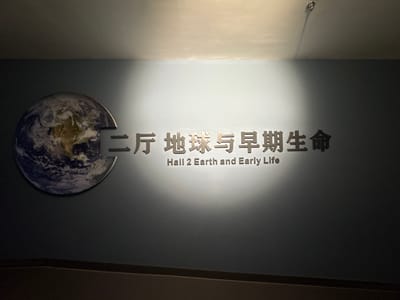 An Earth globe graphic is affixed to a wall beside raised lettering reading "二厅 地球与早期生命 Hall 2 Earth and Early Life". A ceiling-mounted light source casts a bright circle, centrally positioned above the text. The overall scene suggests a museum or exhibit space, with a muted, somewhat dark ambiance. The wall color is predominantly a dark blue-grey.