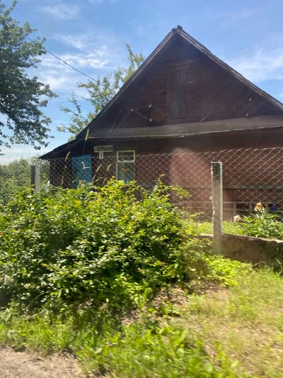 The image depicts a wooden house with a dark brown exterior, featuring a steeply pitched roof. A blue door is visible on the left side of the house, next to a window. A sign with Cyrillic lettering and the number "1" is mounted above the door and window. A chain-link fence runs across the foreground, partially obscuring the house and a lush green bush. The background includes trees and a blue sky with wispy white clouds. The scene is set in a rural or suburban environment within the Lyshchitsy village council in Belarus. The image is taken from a slightly elevated, moving perspective, indicated by the motion blur in the foreground vegetation.