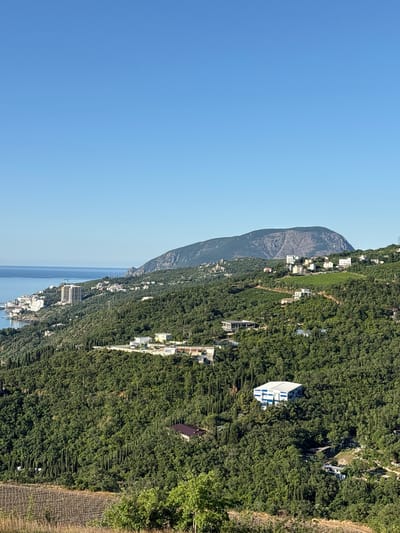This is a landscape photograph taken from a high vantage point, overlooking a coastal city nestled amongst lush green hills and bordering a calm blue sea under a clear, bright blue sky. The scene captures a blend of natural beauty and urban development.
In the foreground, a terraced hillside is visible, with rows of what appear to be grapevines or some other cultivated plants, suggesting agricultural activity. The terrain slopes downwards towards the middle ground, which is densely covered with a variety of trees, primarily dark green conifers and broader-leafed deciduous trees. Scattered amongst the greenery are several buildings, ranging from smaller houses with red or brown roofs to larger, more modern structures.
One prominent building in the mid-ground right is a multi-story structure with a white facade and blue horizontal stripes, possibly an administrative building or a hotel. Further down the coast to the left, a cluster of taller buildings, including a distinct light-colored building under construction with a crane, marks the denser part of the city. These buildings are situated along the coastline and extend slightly inland.
The sea is a dominant element on the left side of the image, appearing calm and stretching towards the horizon. In the far distance, a large, rounded mountain or prominent hill rises from the landscape, its rocky slopes and lighter colored crest clearly defined against the sky. The overall impression is one of a picturesque coastal town integrated with its natural surroundings, bathed in bright sunlight. There are no people visible in the image. The location is described as Chaika, Ukraine.