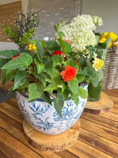This is a medium shot, eye-level, close-up photograph of a potted plant arrangement on a wooden table. The primary subject is a white ceramic pot with a blue floral pattern, containing a lush green plant with vibrant orange and red blossoms. Behind this pot, to the right, is a clear glass vase holding yellow lemons and a white hydrangea. To the left of the main pot, a blurred bouquet of greenery and dried branches is visible. The background features a wall with charts and diagrams. The lighting is soft and natural, suggesting an outdoor or well-lit indoor setting. The image appears to be taken at Moscow Country Club, Russia, given the context provided.