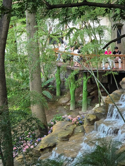 The image depicts an outdoor scene with a focus on lush greenery and a man-made waterfall. In the background, a wooden walkway or bridge is visible, with several people standing and sitting on it. Some individuals are dressed casually, with one person in a pink top and another in a black t-shirt. The walkway is supported by bamboo stalks and structures painted green.
The foreground features a multi-tiered waterfall cascading over rocks. Surrounding the waterfall are various plants, including bamboo, ferns, and flowering bushes with pink and blue blooms. The overall environment appears to be a garden or park setting, designed to mimic a natural landscape. The presence of the walkway and waterfall suggests it is a recreational area. The specific location mentioned is Xiaoshan District, China, which implies this scene is within a park or tourist attraction in that region.