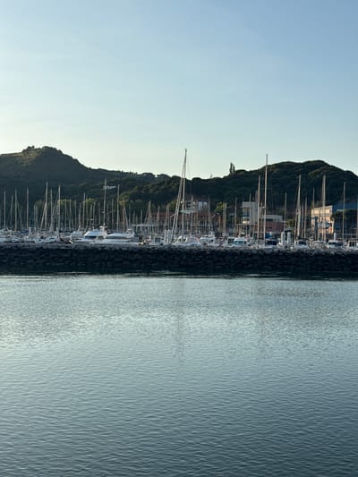 The image depicts a marina in Zumaia, Spain, under a clear, pale blue sky. The foreground is dominated by the calm, rippling surface of the water, reflecting the sky and the scene above. A low stone breakwater runs horizontally across the mid-ground, separating the water from the docked boats. Behind the breakwater, a large collection of sailboats and motorboats are moored. Many of the sailboats have their masts and rigging visible, creating a dense, vertical pattern. Several larger white motor yachts are also prominently featured. Beyond the boats, a densely forested hill rises steeply, with a few buildings visible amongst the trees. The overall scene suggests a tranquil day at a coastal town's harbor.