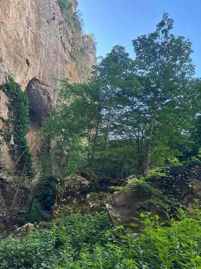 A rock climber is suspended mid-air, descending a sheer rock face in Karlukovo, Bulgaria. The climber, wearing an orange and black harness and red climbing shoes, is positioned high on the crag, with a sheer drop below and lush green foliage in the foreground. The rock face is textured with cracks and crevices, with patches of green ivy clinging to its surface. A small cave opening is visible at the base of the cliff, partially obscured by trees. The sky above is a clear blue, and the scene is bathed in natural daylight.
