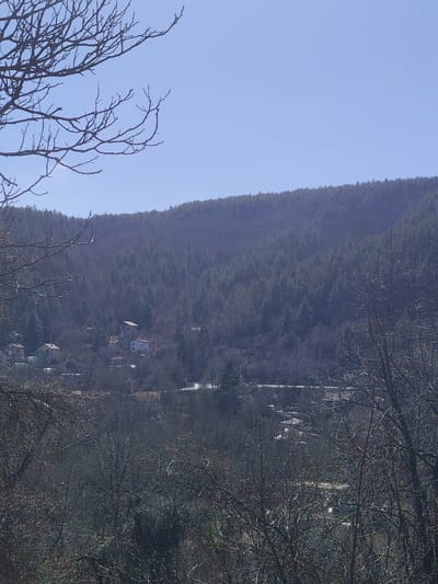 The image presents a panoramic, elevated view of the settlement of Vlado Trichkov, Bulgaria, nestled within a valley surrounded by mountainous terrain, under a clear, light blue sky. In the immediate foreground, bare, dark-colored deciduous tree branches extend from the upper left and lower portions of the frame, indicating a late winter or early spring season. The midground features a cluster of residential buildings, identifiable as houses, with varying light-colored facades (white, cream, beige) and dark-toned roofs, situated on the lower slopes of the valley and partially obscured by leafless trees. A winding road or pathway, appearing light in color and possibly bordered by snow or light-colored embankments, traverses horizontally through the valley floor. Parallel to the road, a water feature, potentially a river or stream, is visible, partially covered by ice or snow and bordered by bare vegetation. The background is dominated by a prominent, densely forested mountain range, primarily covered in dark green coniferous trees, extending across the horizon beneath the clear sky. No individuals, vehicles, or specific actions are discernible.
