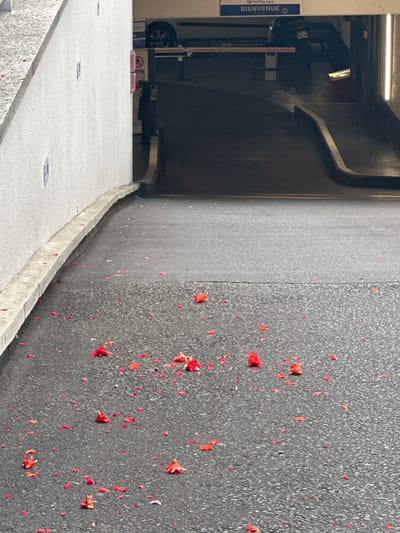 The image captures an outdoor scene, possibly a parking area, in Enghien-les-Bains, France, indicated by a blue and white sign with the word "BIENVENUE" at the top. The ground in the foreground is a dark, textured asphalt surface, scattered with numerous small, red petals. A concrete curb or border runs along the left side of the asphalt, adjacent to a textured white wall. The background shows a sloped entrance to what appears to be an underground parking structure, with a white car visible in the distance and a red barrier gate. A dark silhouette of a person is partially visible standing near the entrance, and a motorcycle with visible license plates is also in the background. The lighting suggests an overcast day.